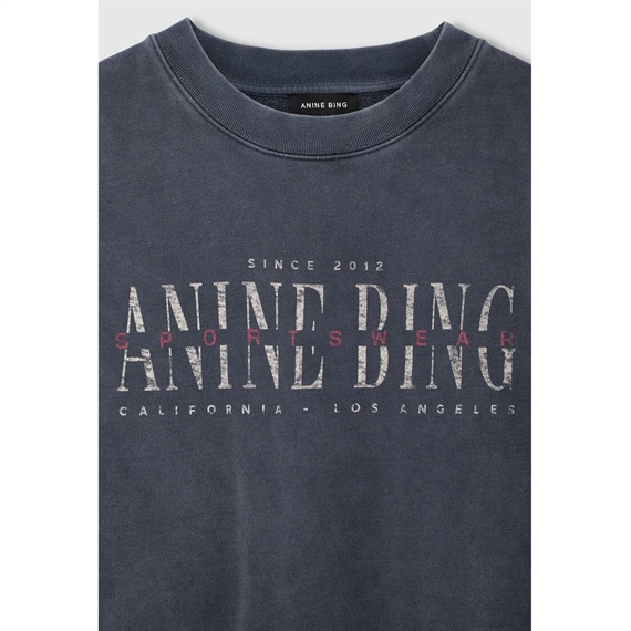 Anine Bing Sport Club Miles Sweatshirt, Washed Black